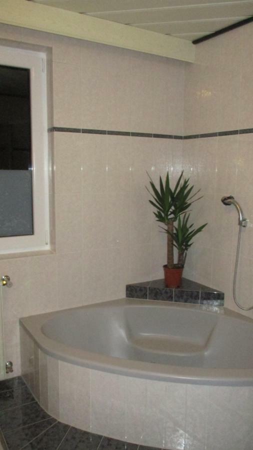 Wohnung In Haiding/Wels Экстерьер фото